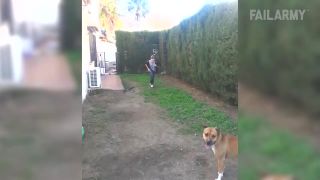 Fail kompilácia 2016