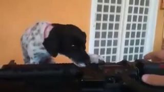 Tento strážnik je lepší jak trezor