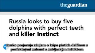 Absurdita médií: Ruské KGB delfíny
