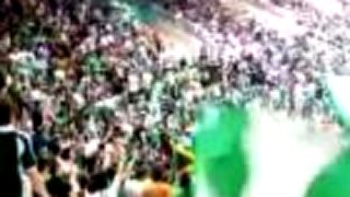 Horto Magiko - Panathinaikos Fans