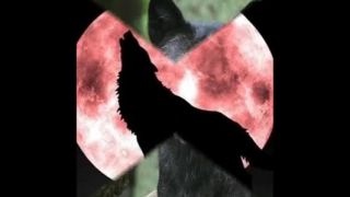 Nazareth - Cry Wolf - D. Videos