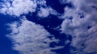 Pink Floyd - a GEAT DAY FROM FREEDOM. - D. Videos