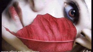 Bonnie Tyler  - Total Eclipse Of The Heart - D.Videos