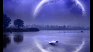 Nirvana - Where Did You Sleep Last Night - D. Videos