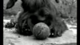 SIGMUND