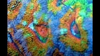 Rainbow - Rainbow Eyes - D.Videos
