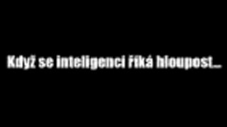Keď sa inteligencii hovorí hlúposť