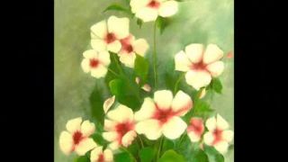 Lou Reed   - Perfect Day - D.Videos