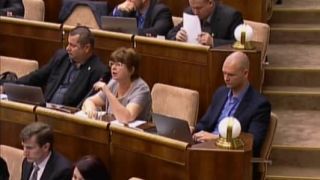 Grausová o slobodných matkách (15.06.2016 16:59)