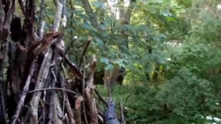 Airsoft Borčany 1