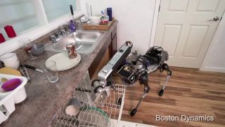 Pomocník v domácnosti (Boston Dynamics)