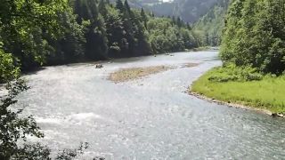 Dunajec 8