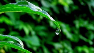 ENYA - A Day Without Rain  - D. Videos