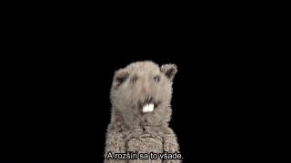 Vertikálne videá sú zlo