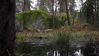 Jonne - Metsään on iäksi mieli (Official video)