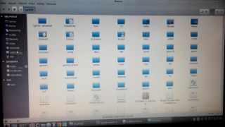 Blikanie obrazu, Linux Mint