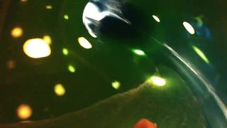 Trip 2 Aquaparks