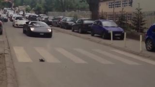 Albánska mafia - Svadobný sprievod