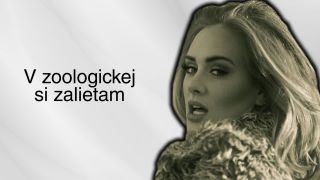 ADELE - JEBE (PRIBEH NADEJNEHO VYSOKOSKOLAKA)