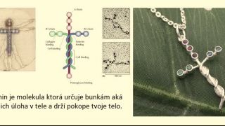 Čo je to Laminin