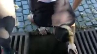 Spadlo vam kilo do kanalu? No problem