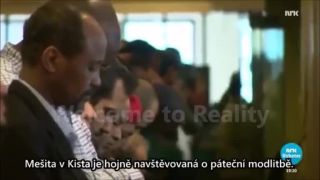 Multikulty ráj ve Švédsku
