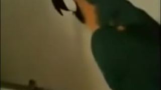 Papagáj si ide svoje
