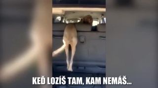 Keď lozíš tam, kam nemáš!