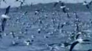 Radiohead - Everything In Its Right Place