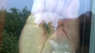 Jesenná Óseň a Osa čierna – inak vraj malý sršeň