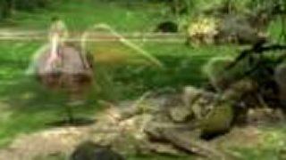 ZOO Zlín (Česká Republika)