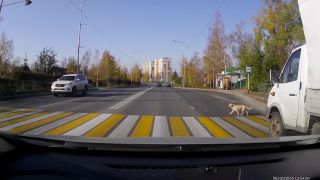 Uistil sa či naozaj postojí! (Rusko)