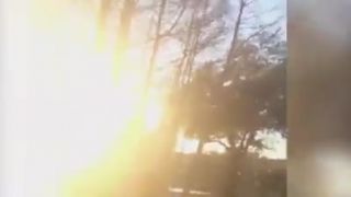 Hus napadla dievčaťu zadok