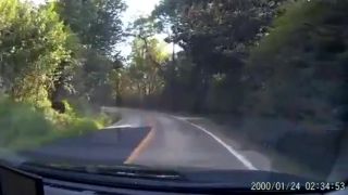 Yogi sa pokúsil o poistný podvod - nevyšlo :)