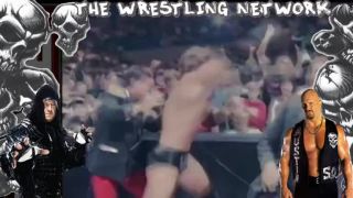 Arnold Schwarzenegger vs Triple H