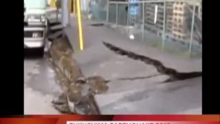 Fukushima zemetrasenie (Japonsko,22.6.2016)