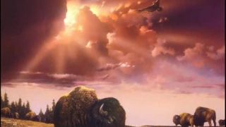 White Buffalo - D. Videos