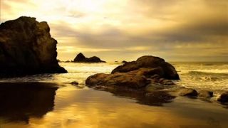 Vangelis - Way - D. Videos