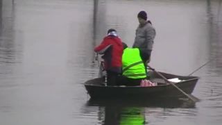 Novembrový sumec