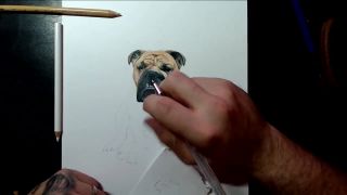 Buldog Zeus speedart /timelapse/