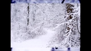 KIM WILDE AND RICK ASTLEY - WINTER WONDERLAND - D. VIDEOS