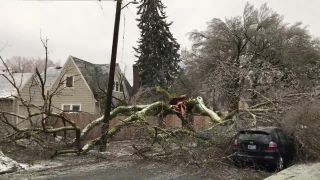 Strom to po poľadovici vzdal (USA)