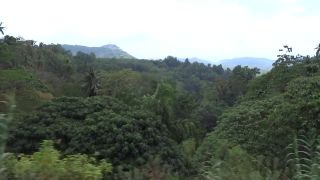 Beautiful Sri Lanka 2016