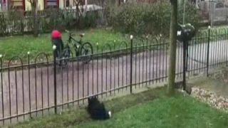 Hej človek, prihraj mi loptu!