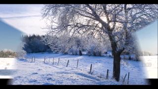 Cinderella -  Long Cold Winter -  D . Videos
