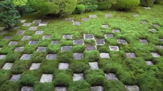 Japanese Garden Meditation. - D.Videos