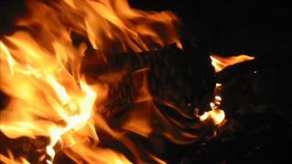 Metallica - Jump In The Fire - D.Videos