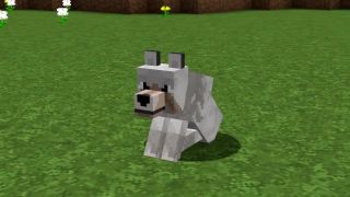 Minecraft vs Real Life 5