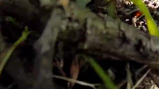 GoPro Fails #4