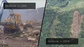 Zomierajú postojačky